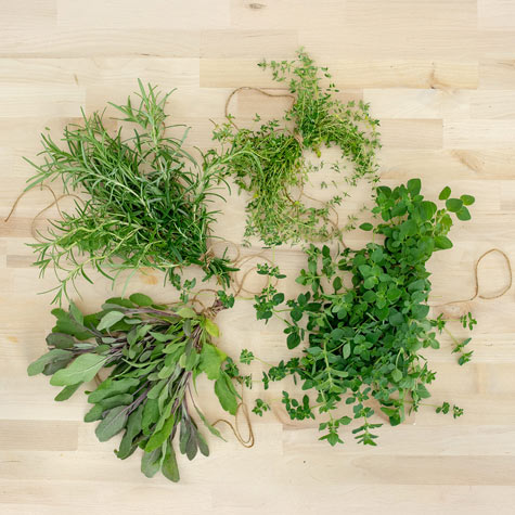 Where to Start Your Indoor Herb Garden