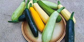 All About…Summer Squash