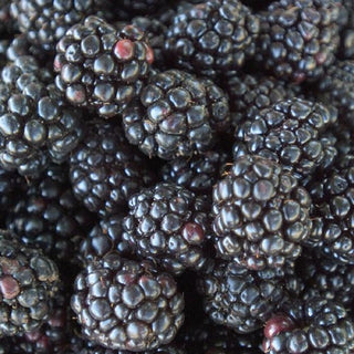 Blackberries- Uses and Health Benefits