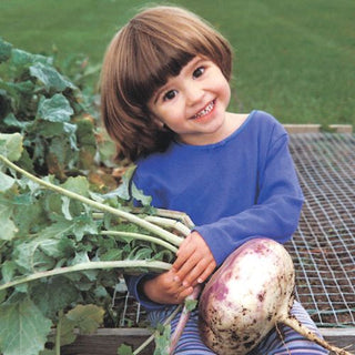 What is a cover crop – and how is it beneficial to your garden?