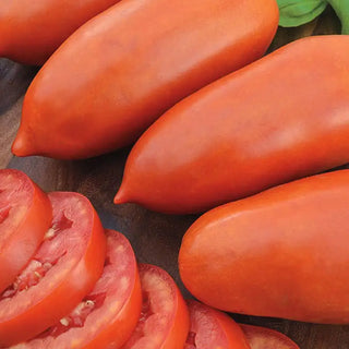 San Marzano Tomato