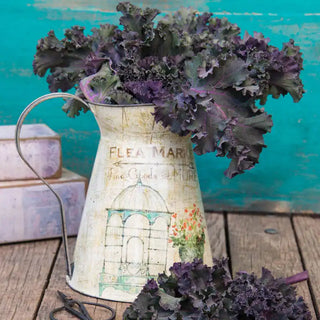 Gurney's® Winter Wonderland Mixed Kale Seed