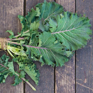 Gurney's® Winter Wonderland Mixed Kale Seed