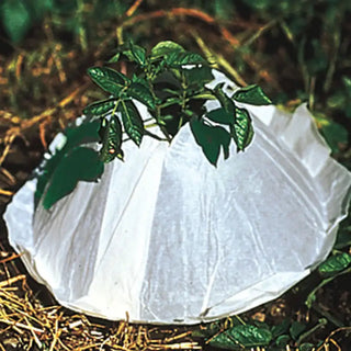 Hot Kaps® Frost Protection Domes