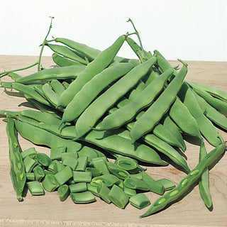 Roma II Bush Bean Seed