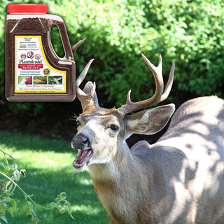 Plantskydd® Deer & Squirrel Repellent