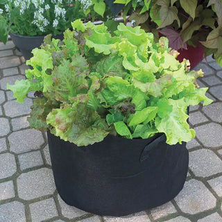 Grow Tub® 7 Gallon Garden Container