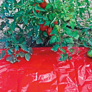 Turbo-Tomato!™ Mulch Sheet