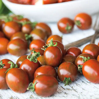 Chocolate Sprinkles Hybrid Tomato