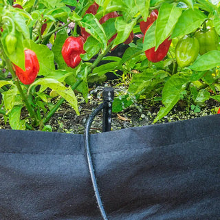 The Dripster™ Drip Irrigation Kit