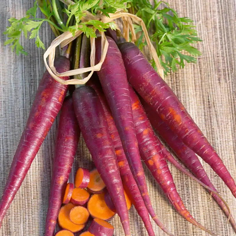 Cosmic Purple Carrot Seed