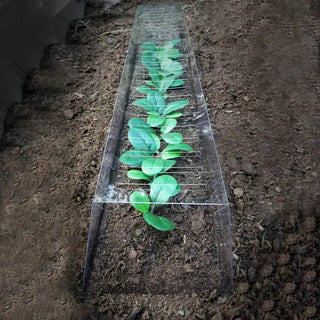 GrowAway™ 26" Seedling Protector - Pest & Weather Protection