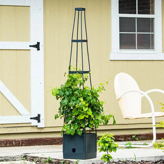 Self Watering Plant Tower