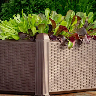 Wicker-Look Raised Garden Bed Set