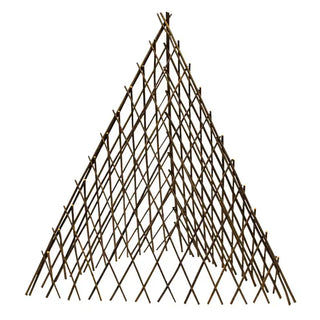 Willow Teepee Plant Support