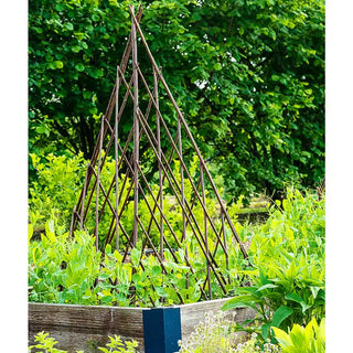 Willow Teepee Plant Support