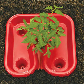 Tomato & Pepper Growing Automator Tray