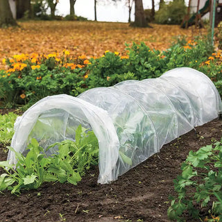 Polythene Grow Tunnel - Weather Protection