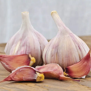 Duganski Hardneck Garlic