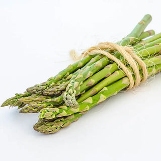 Grande Hybrid Asparagus Plant