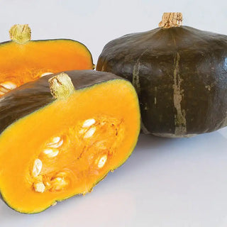 Bon Bon Hybrid Winter Squash Seed