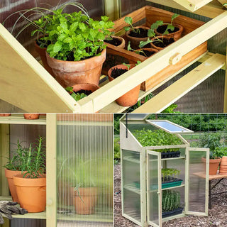 Mini Greenhouse