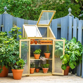 Mini Greenhouse