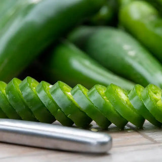 Gurney's Perfect Rings Hybrid Jalapeno Pepper