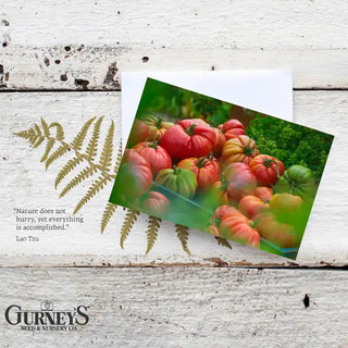 Gurney's® Veggie Notecards