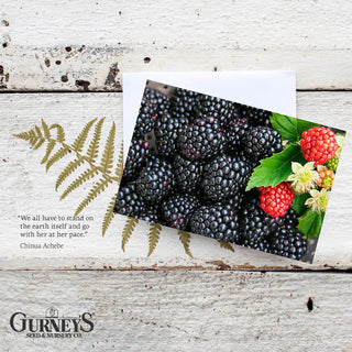 Gurney's® Veggie Notecards