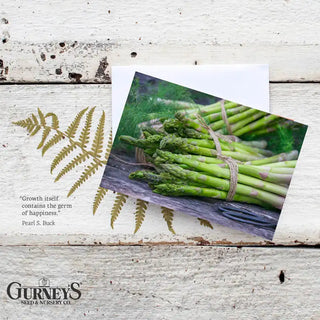 Gurney's® Veggie Notecards