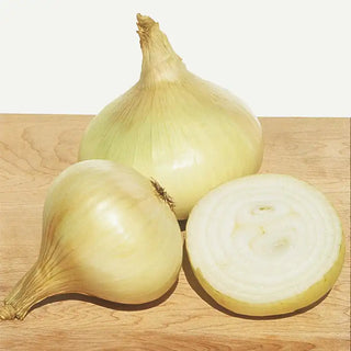 Yellow Granex Hybrid Onion