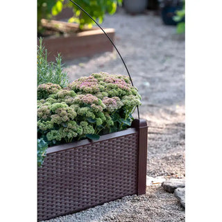 Simple Solution Raised Bed