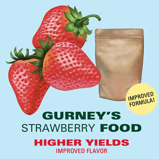 Gurney's® Whopper Junebearing Strawberries