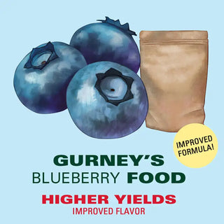 Gurney's® Whopper Junebearing Strawberries