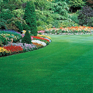 Gurney's® Healthy Lawn Grass Seed