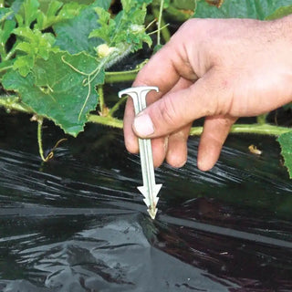 Biodegradable Mulch