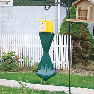 Japanese Beetle Lure & Trap