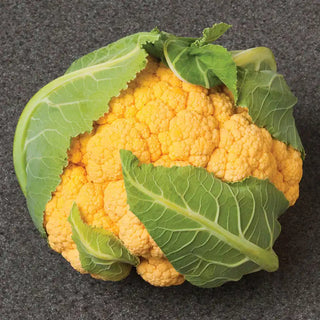 Flame Star Hybrid Cauliflower Seed