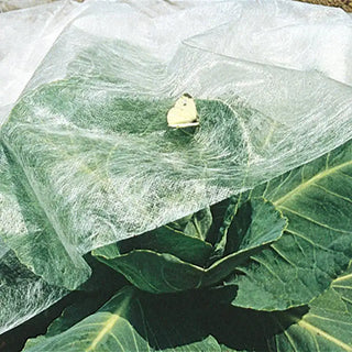 Super-Lite Insect Barrier - Lightweight Row Cover