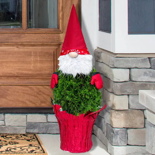 Holiday Gnome Arborvitae Tree