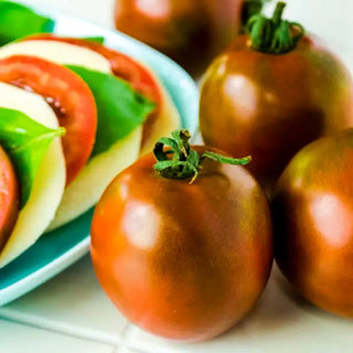 Black Velvet Hybrid Tomato