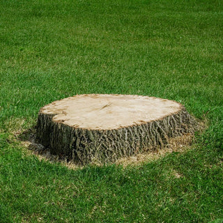 Stump Remover