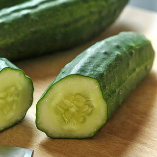 Patio Snacker Hybrid Slicing Cucumber