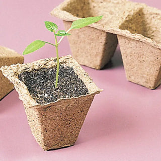 Square Peat Pots