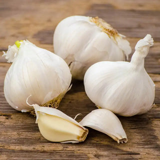 Gurney's Garlic Lovers Trio