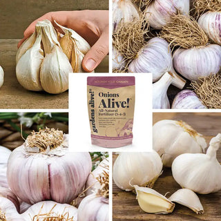 Ultimate Garlic Lovers Bundle