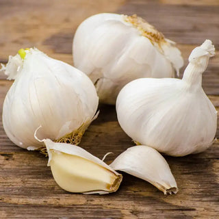 Ultimate Garlic Lovers Bundle