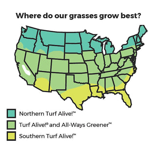 Northern Turf Alive! Grass Seed Mixture