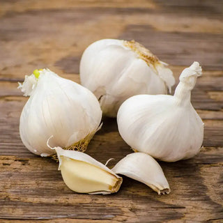 Red, White & Purple Garlic Trio